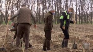 Imagini cu Iohannis plantând copaci la Dăbuleni: "Iubesc natura, îmi doresc o natură sănătoasă pentru România"