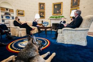 Câinii lui Joe Biden au fost alungați de la Casa Albă, după ce unul dintre ei a muşcat un agent de securitate