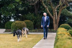 Câinii lui Joe Biden au fost alungați de la Casa Albă, după ce unul dintre ei a muşcat un agent de securitate