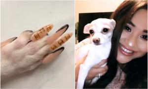 O femeie din SUA i-a pus unghii false căţeluşei sale, din rasa Chihuahua: "Ăsta e abuz de animale"