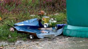 Un primar din Maramureș le dă bani localnicilor care îi pârăsc pe cei ce aruncă gunoaie la întâmplare