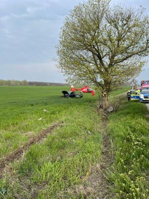 Tânăr mort în Prahova, într-un Audi zdrobit de un copac. Băiatul a rămas blocat în maşină, după impact