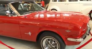Mașini de epocă din SUA și Marea Britanie, expuse la Iași. Vedetă a fost un Mustang din 1966