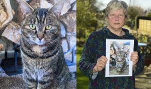 Un pensionar care i-a înecat pisica vecinei pentru că i-a stricat grădina de legume a scăpat de închisoare, în Anglia