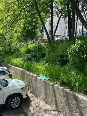 Mizerie și mormane de gunoaie într-un cartier din Pitești: Trăim într-un oraș în care se construiesc toalete de 400.000€, însă lângă Bazarul Gheorghe Lazăr e plin de șobolani și de gunoaie