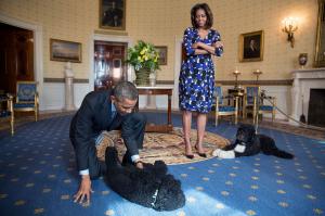 A murit Bo, câinele familiei Obama. Barack Obama: ”A fost exact ce aveam nevoie și mai mult decât ne așteptam vreodată”