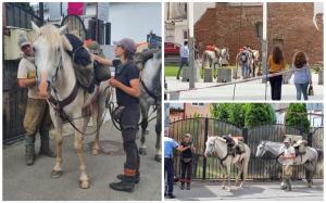 Doi turiști străini, rupți parcă din filmele western, s-au rătăcit cu tot cu cai prin centrul istoric al Craiovei
