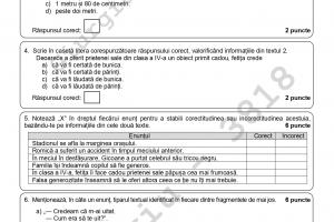 Evaluare naţională 2021 - Ce au primit elevii la al doilea subiect la Limba şi literatura română - document