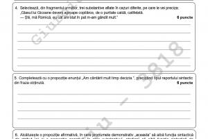 Evaluare naţională 2021 - Ce au primit elevii la primul subiect la Limba şi literatura română - document