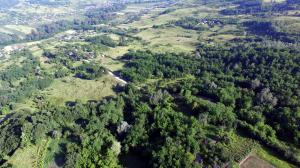 Imagini surprinse din dronă cu prăbușirea unui deal din localitatea Roșiile, Vâlcea. Amploarea dezastrului