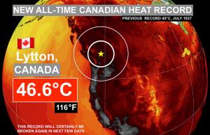 Val de căldură fără precedent în Canada. S-au înregistrat 46,6 grade Celsius, la umbră