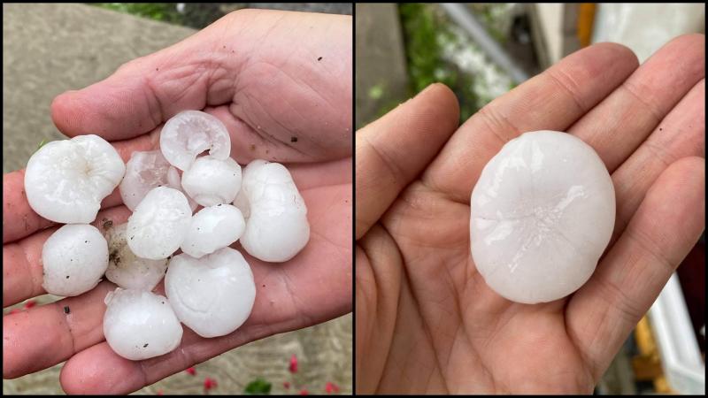 Grindină de mari dimensiuni în Drăgoiești, județul Suceava