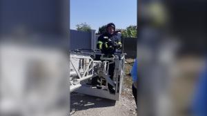 Pui de barză salvați de pompieri după ce au căzut din cuibul aflat pe un stâlp de electricitate