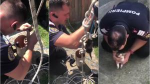 O altfel de misiune: Pompierii din Arad au salvat un pui de pisică, după ce a căzut într-un tub - VIDEO