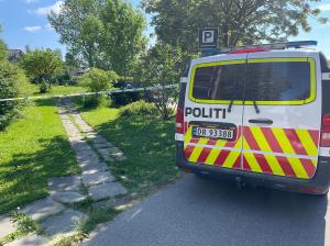 Crimă oribilă în Norvegia. Un român de 20 de ani ar fi ucis o tânără în Oslo, apoi a intrat cu maşina pe contrasens, într-o dubă