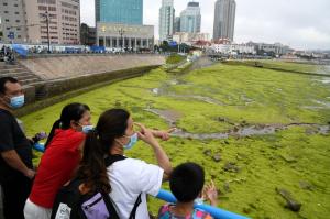 Portul chinezesc Qingdao, invadat de alge. Plaja s-a transformat într-un "verde infinit"
