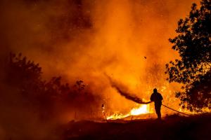 Imaginile dezastrului din Cipru. Incendiile devastatoare au făcut prăpăd, patru persoane şi-au pierdut viaţa. Un bărbat de 67 de ani ar fi vinovat