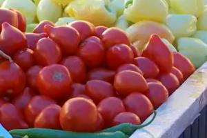 Investiție de 2 mil. € în sere pentru producerea roșiilor bio, în Timișoara: "Producem legume sănătoase pe care să le mâncăm şi noi"