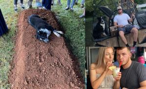 Imagine sfâşietoare: Un câine stă întins pe mormântul stăpânului, un tânăr de 22 de ani ucis de fiul unui judecător, în SUA: "Totul este în mâinile lui Dumnezeu”