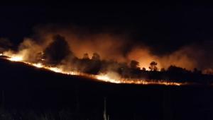 Incendiu de proporții, ard sute de hectare de vegetație uscată la Hinova, în Mehedinți. Focul ameninţă să ajungă şi la casele sătenilor