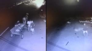 Momentul în care un șofer de 21 de ani spulberă o căruță în care se aflau doi bărbați, în Teleorman