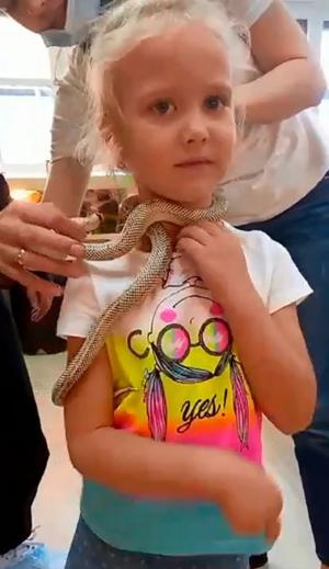 O fetiţă de 5 ani a fost muşcată de faţă de un şarpe veninos, la o grădină zoologică din Rusia: „Am chemat o ambulanță"