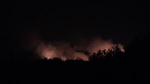Un incendiu de vegetație a izbucnit la Corbeanca, lângă București