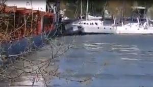 Accident în Delta Dunării: O navă străină a distrus trei ambarcațiuni de lux, după ce a rămas fără motor