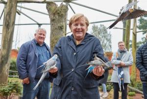 Angela Merkel, asaltată de papagali într-un parc din Germania. Reacția cancelarului după ce păsările s-au așezat pe ea