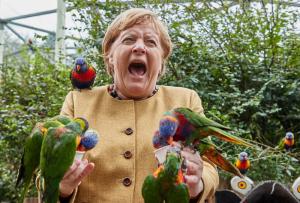 Angela Merkel, asaltată de papagali într-un parc din Germania. Reacția cancelarului după ce păsările s-au așezat pe ea