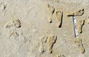 Urme de paşi, considerate cele mai vechi amprente lăsate de om, descoperite în America de Nord