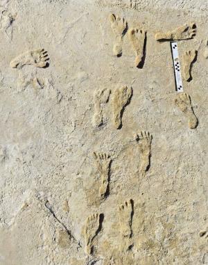 Urme de paşi, considerate cele mai vechi amprente lăsate de om, descoperite în America de Nord