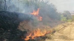 Iadul din Mehedinţi. Flăcări uriaşe au înghiţit peste 150 de hectare de teren, zeci de salvatori au luptat ore-n şir să stingă incendiile