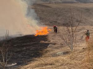 Incendiu violent în Botoşani. Peste zece hectare de vegetaţie uscată au fost înghiţite de flăcări