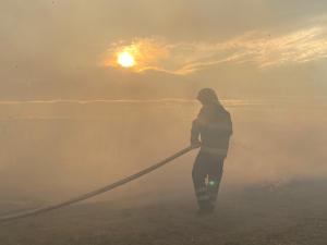 Incendiu violent în Botoşani. Peste zece hectare de vegetaţie uscată au fost înghiţite de flăcări