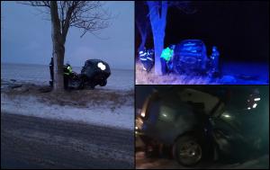 Doi morţi, după ce maşina în care se aflau s-a izbit de un copac, în Tulcea
