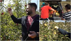 Livada din România unde turiştii pot mânca atâtea mere câte poftesc, dacă ajută la cules. Proprietarul se consideră câştigat