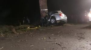 Audi rupt în copac la ieșirea din Bragadiru, în Teleorman. Șoferul, un tânăr de 25 de ani, a murit pe loc