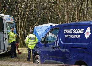 Un bărbat şi-a ucis iubita cu toporul, în Marea Britanie. Voia să nimerească un copac
