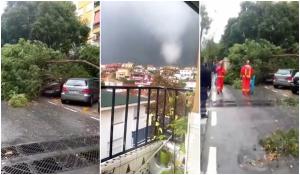 O mini-tornadă a făcut ravagii în Spania. Copacii căzut au avariat mașinile parcate și au blocat străzile
