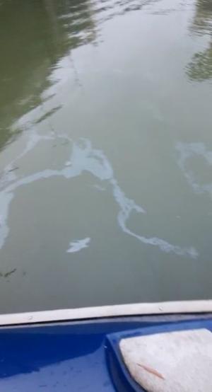 Dunărea poluată cu petrol pe 6 kilometri. Pata se întinde până la ecluza Porțile de Fier I
