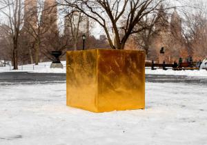 Un cub din aur pur, în valoare de 11,7 milioane de dolari, a apărut într-un parc din New York