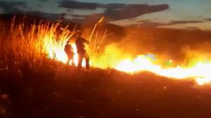 Incendii de vegetaţie în Bacău. Pompierii, solicitaţi la nu mai puţin de 103 intervenţii
