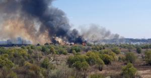 Incendiul din Delta Văcărești a fost lichidat.  Au ars 15 mii de metri pătrați. Intervenția pompierilor, îngreunată de vânt
