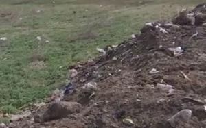 Primărie din Buzău, amendată de Garda de Mediu din cauza gunoiului menajer aruncat de localnici la întâmplare