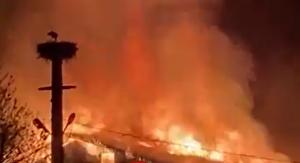 Incendiu de proporţii în Vatra Dornei: Şase hale de preluare şi depozitare a lemnului mistuite de flăcări