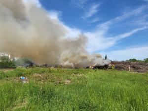Incendiu în Parcul Grozăveşti din Bucureşti, pe o suprafață de 1.000 de metri pătrați. S-a trimis mesaj RO-ALERT