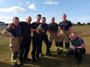 Un cățeluș a fost salvat de pompieri după ce a căzut într-o fântână cu o adâncime de 3 metri, în UK