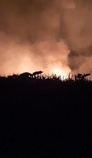 Accident aviatic în nordul Greciei: 8 persoane au murit, după ce un avion cargo ucrainean s-a prăbuşit. S-au auzit mai multe explozii puternice după impact