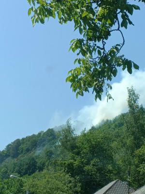 Un bărbat din Maramureş a dat foc pădurii Firiza ca să le dea de lucru pompierilor: „Să nu mai stea pe TikTok”